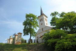 Prymicje Ks. Tomasza - zdjecie 14