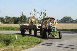 Dożynki parafialne 2011 - zdjecie 6