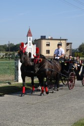 Dożynki parafialne 2011 - zdjecie 9