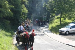 Dożynki parafialne 2011 - zdjecie 16