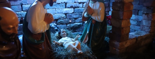 img_6504 (kopiowanie)