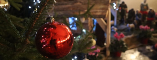 img_6510 (kopiowanie)