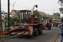 Dożynki parafialne 2012 - zdjecie 13