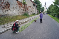 Boże Ciało 2013r. - zdjecie 13