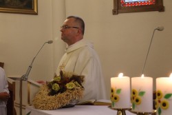 Dożynki w Miejscu Odrz. 2013 - zdjecie 24