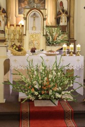 Dożynki w Miejscu Odrz. 2013 - zdjecie 35