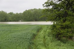 Poziom wód w Odrze maj 2014 - zdjecie 4