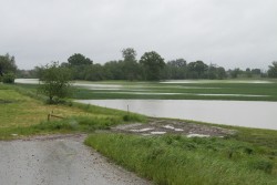 Poziom wód w Odrze maj 2014 - zdjecie 5