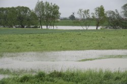 Poziom wód w Odrze maj 2014 - zdjecie 6