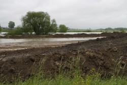 Poziom wód w Odrze maj 2014 - zdjecie 9