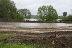 Poziom wód w Odrze maj 2014 - zdjecie 10