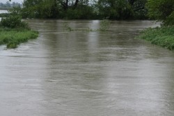 Poziom wód w Odrze maj 2014 - zdjecie 14