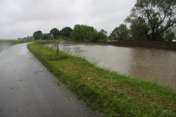 Poziom wód w Odrze maj 2014 - zdjecie 16