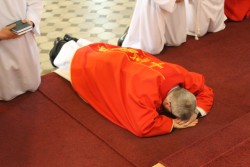 Prostracja