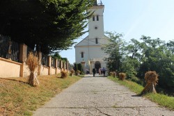 Dożynki parafialne 2015 - zdjecie 94