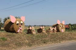 Dożynki parafialne 2015 - zdjecie 123