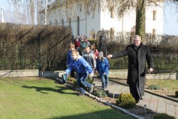 Zajączek w ogrodzie farskim 2016r. - zdjecie 11