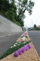 Boże Ciało 2016r. - zdjecie 12