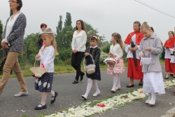 Boże Ciało 2016r. - zdjecie 141