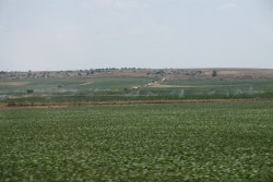 Pielgrzymka do Fatimy 5.07.2016r. - Madryt - zdjecie 1
