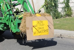 Dożynki parafialne 2016 - zdjecie 23