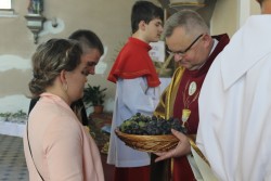 Dożynki parafialne 2016 - zdjecie 49