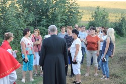 Pielgrzymka do obrazu MB Piekarskiej w Miejscu Odrz. 2016 - zdjecie 16