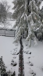 Zima 2017 - kwiecień - zdjecie 1