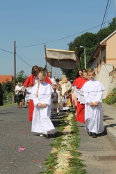 Boże Ciało 2017r. - zdjecie 222