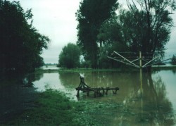 Zdjęcie udostępnione przez rodzinę Depta z Miejsca Odrzańskiego