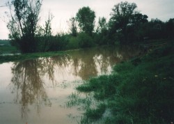 Zdjęcie udostępnione przez rodzinę Depta z Miejsca Odrzańskiego