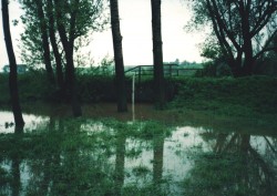 Zdjęcie udostępnione przez rodzinę Depta z Miejsca Odrzańskiego