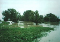 Zdjęcie udostępnione przez rodzinę Depta z Miejsca Odrzańskiego