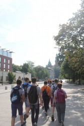 W drodze na Wawel