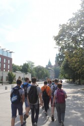 W drodze na Wawel