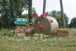 Dożynki parafialne 2017 - zdjecie 85