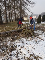 Wycinka drzew 2018r. - porządki - zdjecie 4