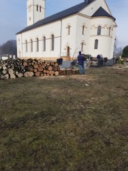 Wycinka drzew 2018r. - porządki - Lasaki - zdjecie 1