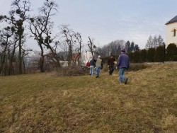 Wycinka drzew 2018r. - porządki - Lasaki - zdjecie 4