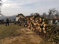 Wycinka drzew 2018r. - porządki - Lasaki - zdjecie 10