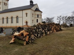 Wycinka drzew 2018r. - porządki - Lasaki - zdjecie 23