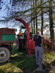 Wycinka drzew 2018r. - porządki - gałęzie - zdjecie 3