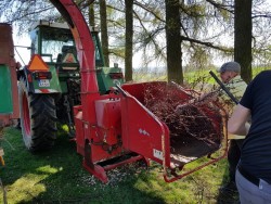 Wycinka drzew 2018r. - porządki - gałęzie - zdjecie 9