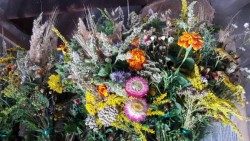 Błogosławieństwo ziół i kwiatów 2018r. - zdjecie 12