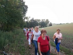 Pielgrzymka do obrazu MB Piekarskiej w Miejscu Odrz. 2018 - zdjecie 47