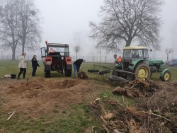 Sprzątanie cmentarza wiosna 2019r. - zdjecie 2