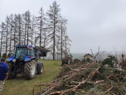 Sprzątanie cmentarza wiosna 2019r. - zdjecie 6