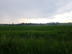Św. Urbana 2019r. - zdjecie 10