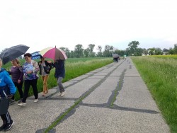 Św. Urbana 2019r. - zdjecie 19