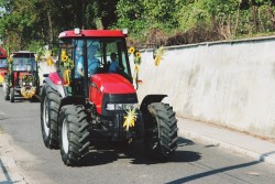 Dożynki parafialne 2019 - zdjecie 25